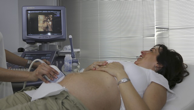 Ultrasonografy przenośne. Nowoczesne urządzenia medyczne. Używane ultrasonografy z kolorowym dopplerem